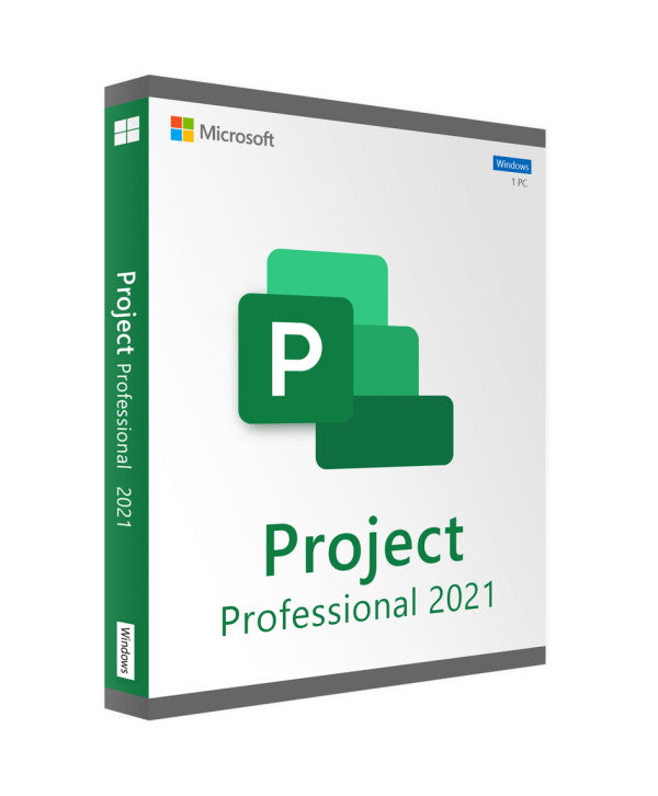 Project 2021 professionnel