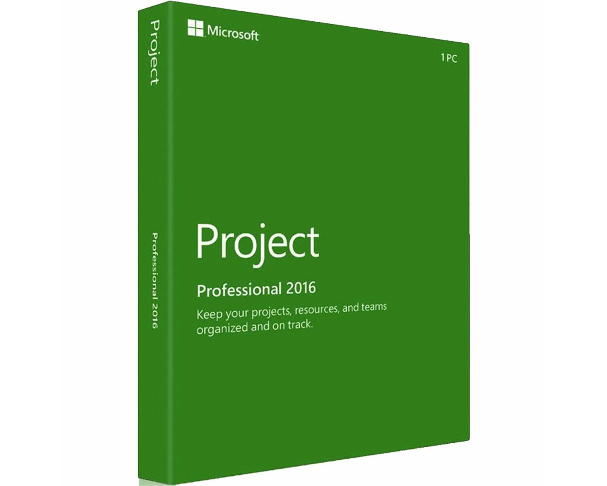 Professional Project 2016