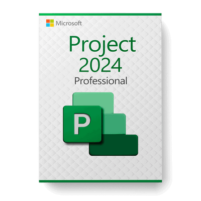 Project Profesional 2024