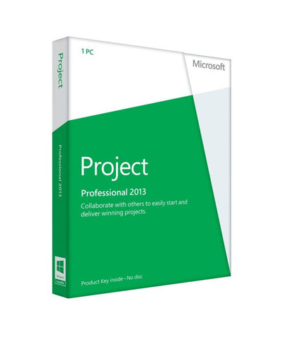 Project Profesional 2013