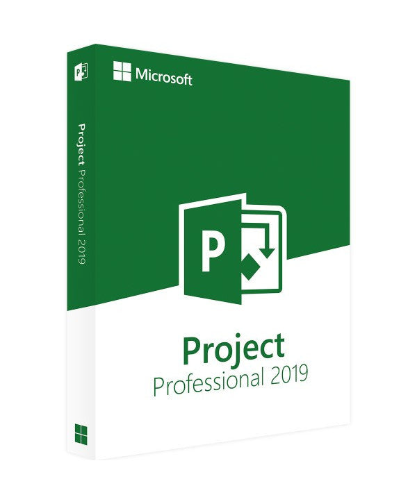 Project Profesional 2019