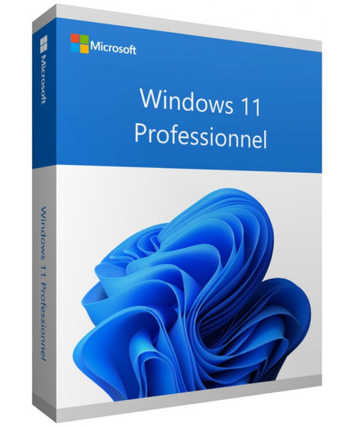 Windows 11 Pro - Clé d'activation ( LICENCE A VIE ) – Instant Receive